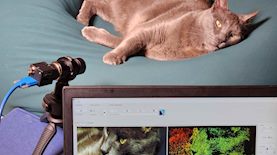 מצלמת הדמיה הולוגרפית, צילום: PxE Holographic Imaging